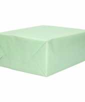1x inpakpapier cadeaupapier mint groen 200 x 70 cm